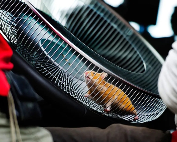 10jaarVolvoDynamicSteering (4) 10jaarVolvoDynamicSteering (4)