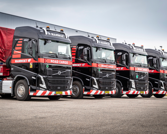 Bluekens_Mammoet_Road_Cargo_Oudenbosch-018