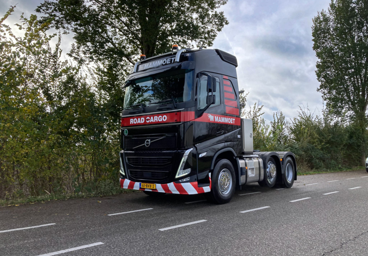 Foto 10-11-2023 10 55 43